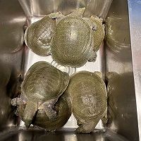 做正宗红烧甲鱼牛蛙的图片步骤1