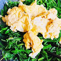 做正宗韭菜鸡蛋这样炒鲜的图片步骤9