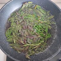 㴻趹ͼƬ4