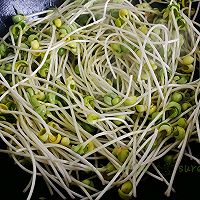 做正宗椒蒜肉肉黑豆苗的图片步骤3