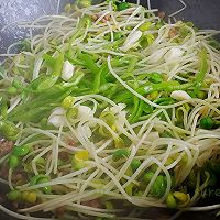 做正宗椒蒜肉肉黑豆苗的图片步骤5