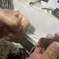 СϺͼƬ2