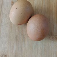 ڼż֥ʿεͼƬ5