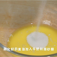 ƻõͼƬ5