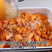 ڻӽͼƬ3