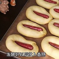 㳦ͼƬ10