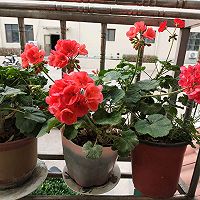 ںͼƬ11