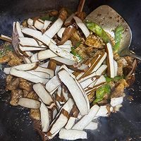ڶɳƬͼƬ8
