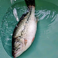 ڷʽͼƬ4