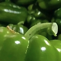 ͼƬ1