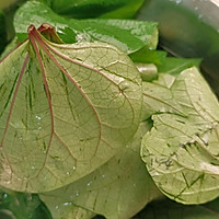ڼެͼƬ10