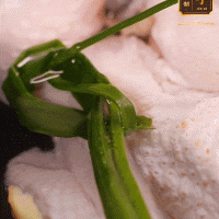ڻȰͼƬ1