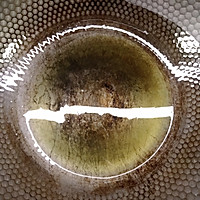 ڱཷʥӻʵͼƬ3