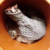 ڼͼƬ3