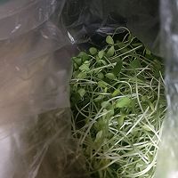 ڶ˿ͼƬ2