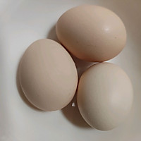 ȹĢͼƬ6