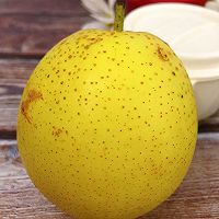 ڼ֭ѩŹͼƬ4