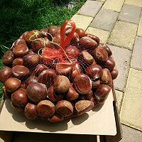 ڰţͼƬ7
