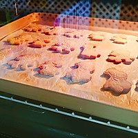 ڿͨɵͼƬ12
