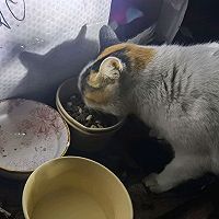 ڼɵͼƬ6