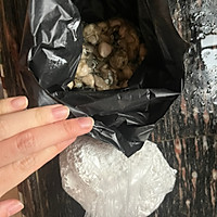 ں¼ͼƬ1