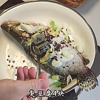ڳͼƬ2