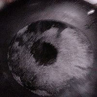 ֭ݵͼƬ4