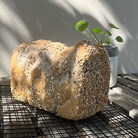 ȫ˾ͼƬ10