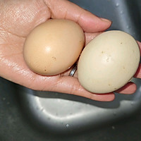 ڼҳڷ˿ͼƬ11