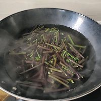 做正宗红糟炒蕨菜的图片步骤2