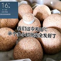 ںͷȫͼƬ5