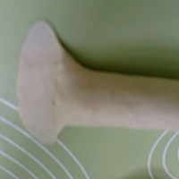 ֥ʿ㳦ͼƬ7
