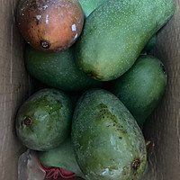 ڲݮͼƬ3