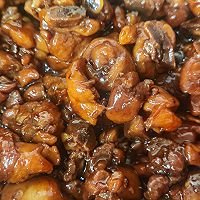 ںռ飨㽭棩ͼƬ7
