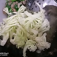 ڸɹ˻ͼƬ7