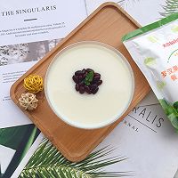做正宗豆乳冻的图片步骤8
