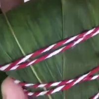 ˮˮյͼƬ9
