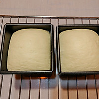 ڷţ˾ͼƬ12