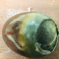 ڻƹȵͼƬ10