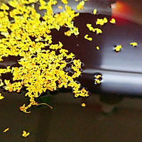 ڹ÷ͼƬ4