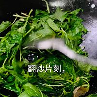 ڻƶҶͼƬ5