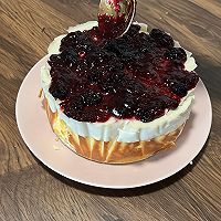 ݮ˹˵ͼƬ8