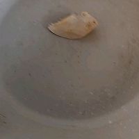 ں໨ͼƬ3