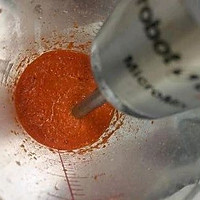 ںʽͼƬ2