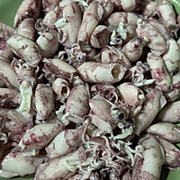 ڱСͼƬ3