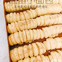 做正宗蓝莓小面包的图片步骤10