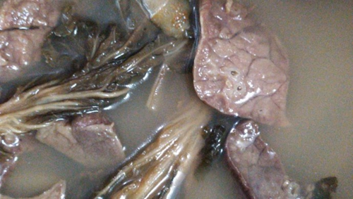 ˸