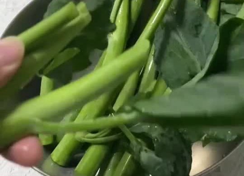 ţ
