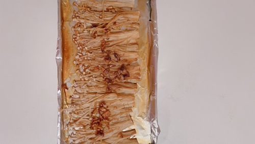 빽