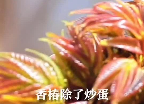 㴻